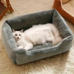 Котешко легло Анди